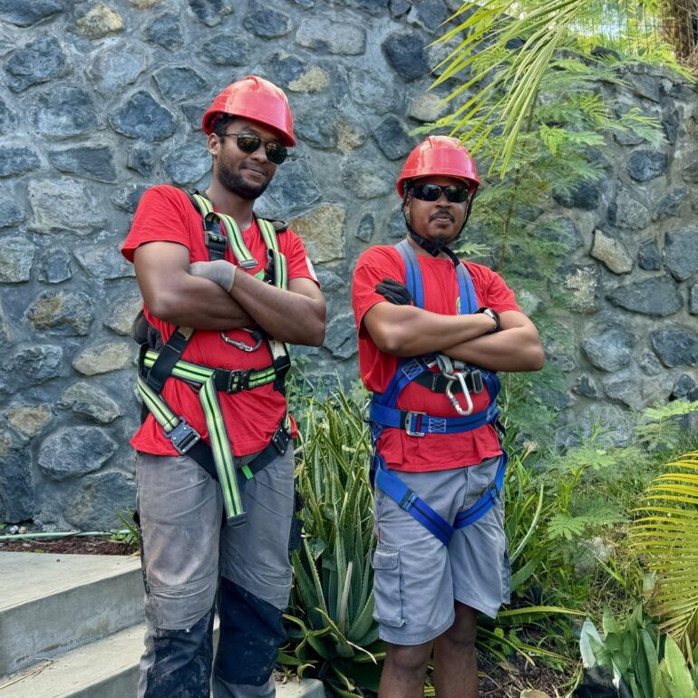 entreprise qualifie energie solaire a la reunion