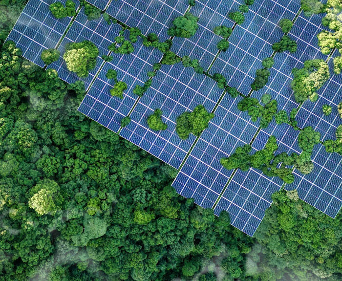 Maison individuelle à La Réunion équipée de panneaux photovoltaïques en autoconsommation pour réduire les factures EDF.