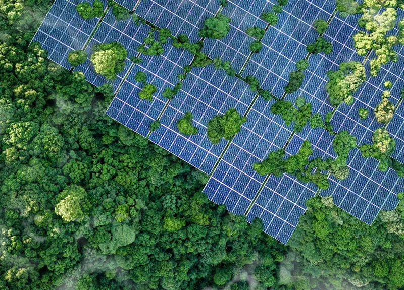 Maison individuelle à La Réunion équipée de panneaux photovoltaïques en autoconsommation pour réduire les factures EDF.