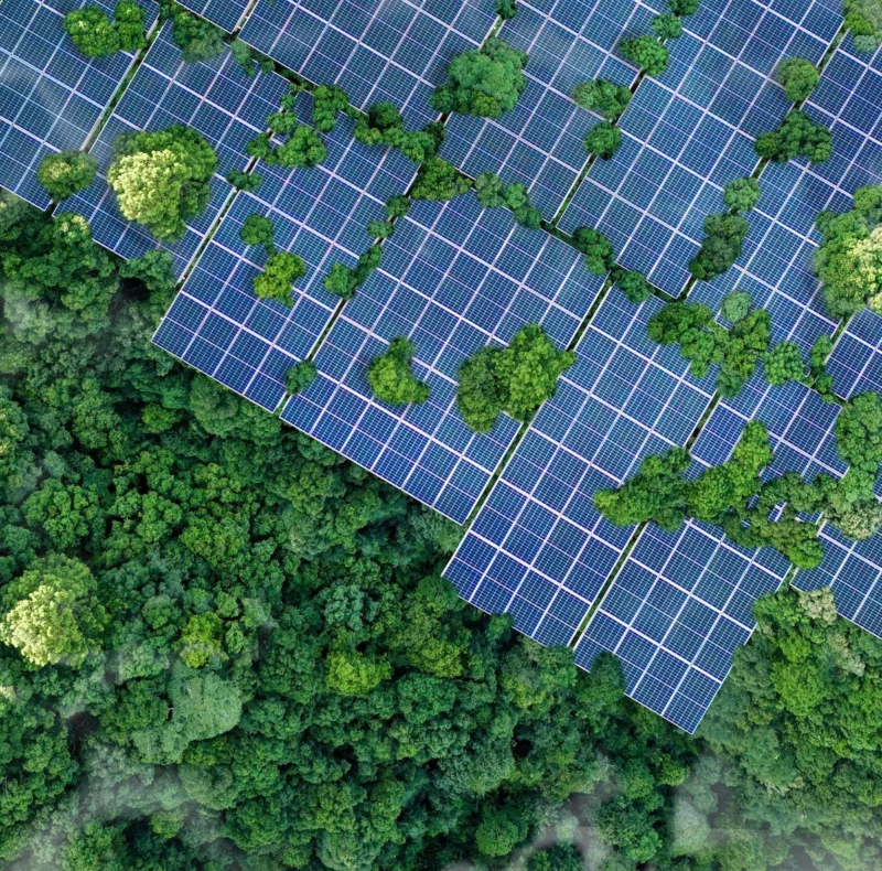 Maison individuelle à La Réunion équipée de panneaux photovoltaïques en autoconsommation pour réduire les factures EDF.