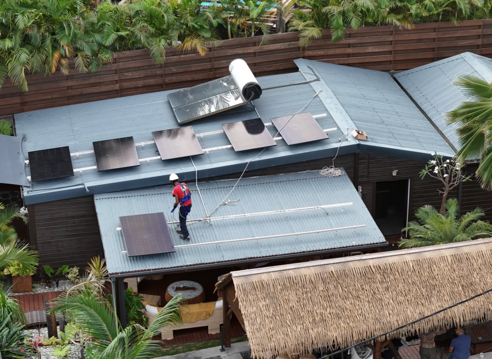 Serre agrivoltaïque protégeant une culture d’ananas à La Réunion